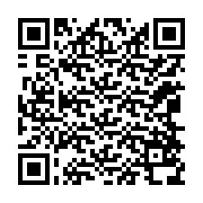 QR-код для номера телефона +12068538691