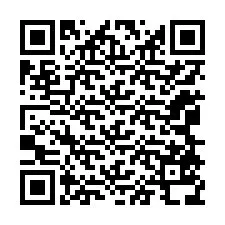 Codice QR per il numero di telefono +12068538935