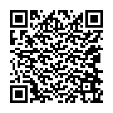 QR Code สำหรับหมายเลขโทรศัพท์ +12068665338