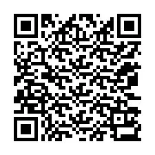 QR-code voor telefoonnummer +12073133294