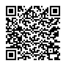 QR Code สำหรับหมายเลขโทรศัพท์ +12073138728