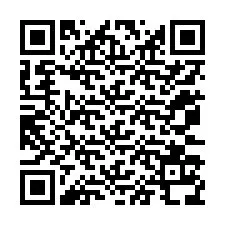 QR-Code für Telefonnummer +12073138730