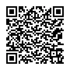 Codice QR per il numero di telefono +12073165825