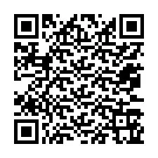 Codice QR per il numero di telefono +12073165827