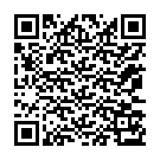 Código QR para número de telefone +12073173321