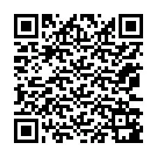 QR-код для номера телефона +12073181625