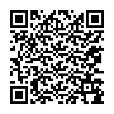 QR Code for Phone number +12073184572