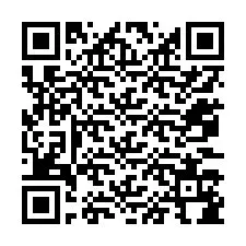 Código QR para número de teléfono +12073184583