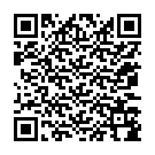 QR-code voor telefoonnummer +12073184584