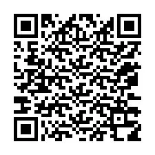 Código QR para número de telefone +12073318658