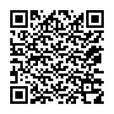 Código QR para número de telefone +12073318659