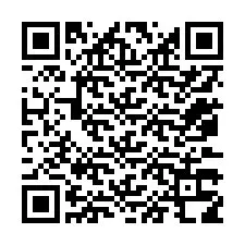 QR-Code für Telefonnummer +12073318849