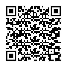 QR-Code für Telefonnummer +12073338192