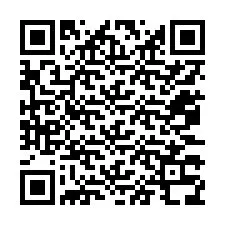 Código QR para número de teléfono +12073338193