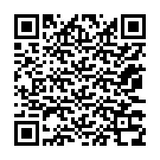 QR kód a telefonszámhoz +12073338195