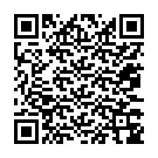 Codice QR per il numero di telefono +12073346193