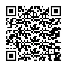 Codice QR per il numero di telefono +12073346217