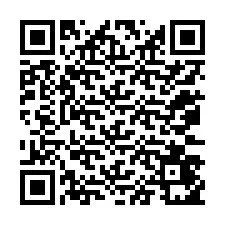 Codice QR per il numero di telefono +12073451738