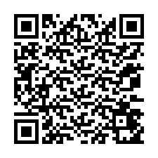 QR-код для номера телефона +12073451740