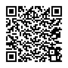 QR-code voor telefoonnummer +12073460493