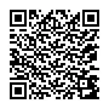 QR-code voor telefoonnummer +12073483118