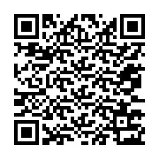 QR-code voor telefoonnummer +12073723533