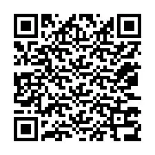 Código QR para número de teléfono +12073736099