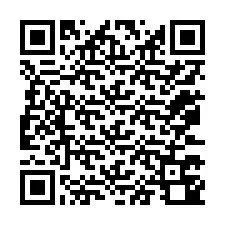 QR Code pour le numéro de téléphone +12073740079