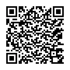 Kode QR untuk nomor Telepon +12073750869