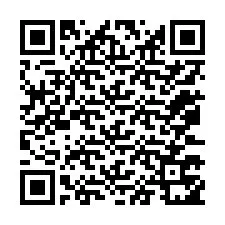 QR kód a telefonszámhoz +12073751179