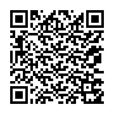 QR код за телефонен номер +12073751230