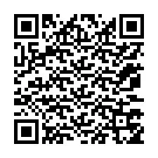 QR Code pour le numéro de téléphone +12073755081