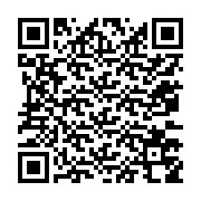 Codice QR per il numero di telefono +12073758706