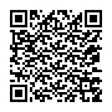 QR-Code für Telefonnummer +12073759418