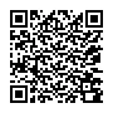 QR Code pour le numéro de téléphone +12073780788