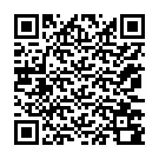 Codice QR per il numero di telefono +12073780791