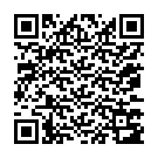QR Code for Phone number +12073783418