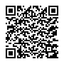 QR Code pour le numéro de téléphone +12073783418