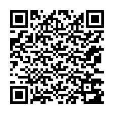 QR-Code für Telefonnummer +12073783925