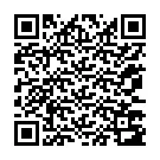 電話番号のQRコード +12073783930