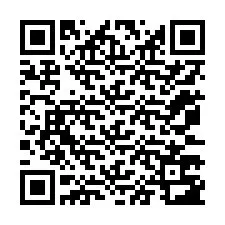 電話番号のQRコード +12073783931