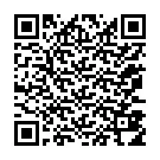 QR-код для номера телефона +12073814174