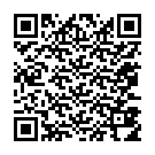 Codice QR per il numero di telefono +12073814176