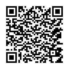 QR-Code für Telefonnummer +12073814179