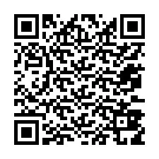 QR-Code für Telefonnummer +12073819917