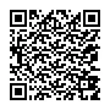 電話番号のQRコード +12073819924