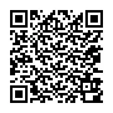 QR код за телефонен номер +12073900566