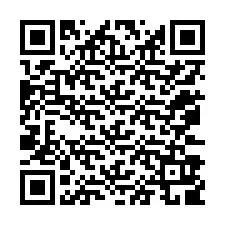 QR-code voor telefoonnummer +12073909278