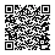 QR-code voor telefoonnummer +12074530590