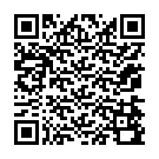 QR Code pour le numéro de téléphone +12074590005